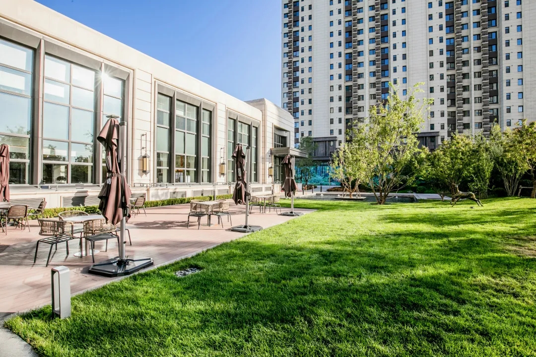 1609414118920707.jpg 640.webp (4).jpg