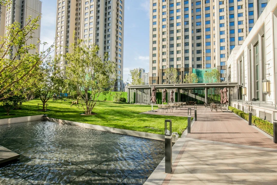 1609414126112579.jpg 640.webp (5).jpg