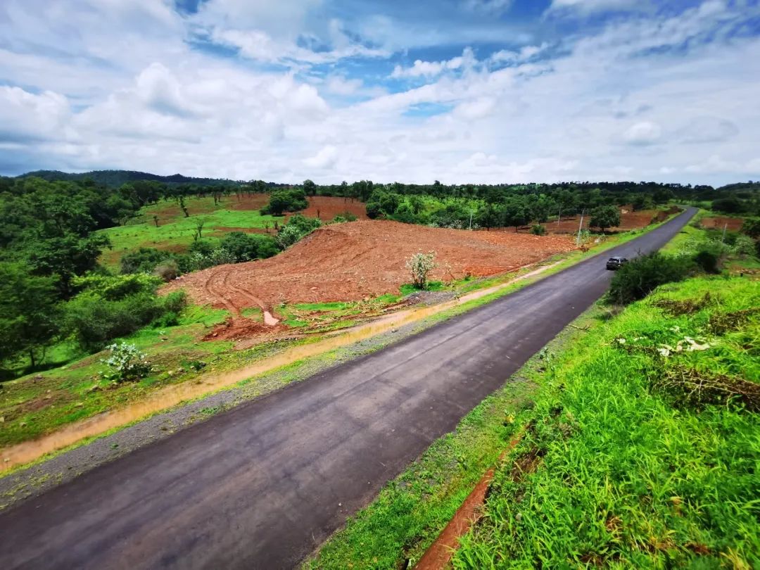 1691750017110763.jpg 1691750017110763.jpg