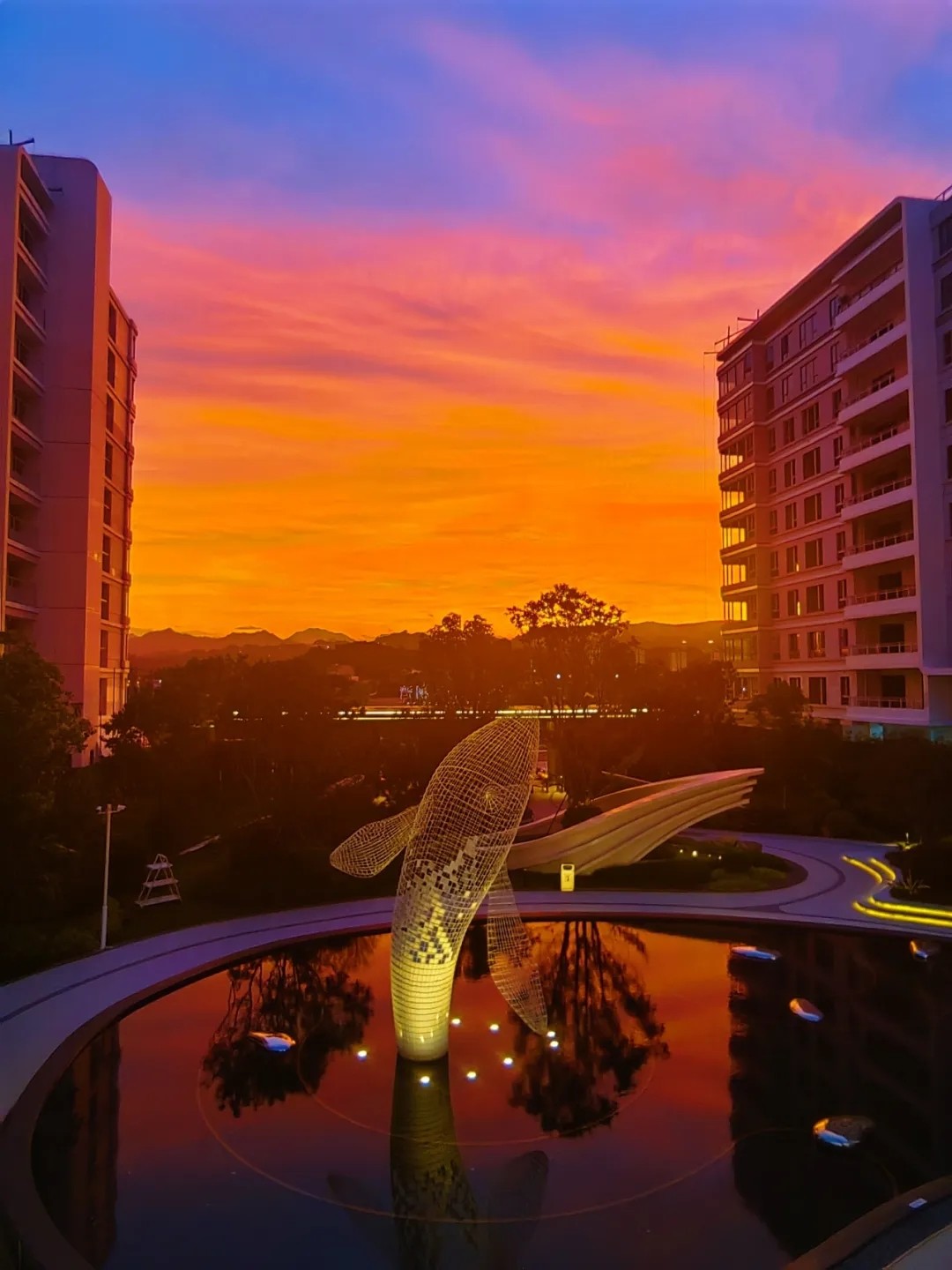 1730185724149965.jpg 1730185724149965.jpg